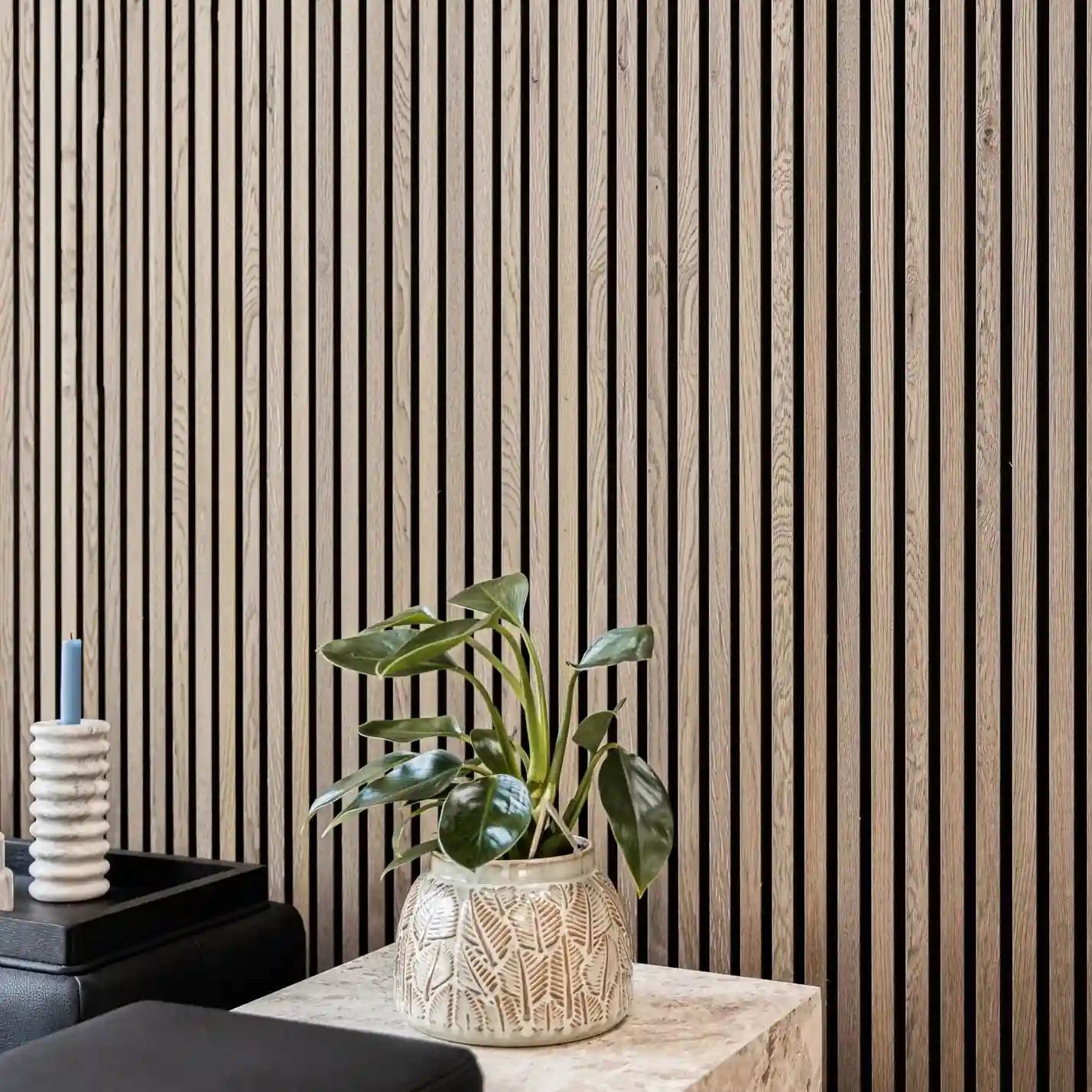natural oak acoustic slats on meeting room wall with a small indoor plant in the foreground