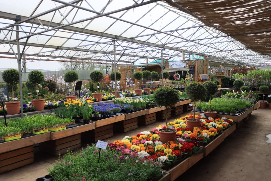 garden centre acoustics